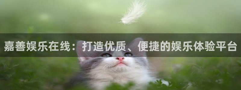 7790必发集团登录入口：嘉善娱乐在线：打造优质、便捷的娱乐体验平台