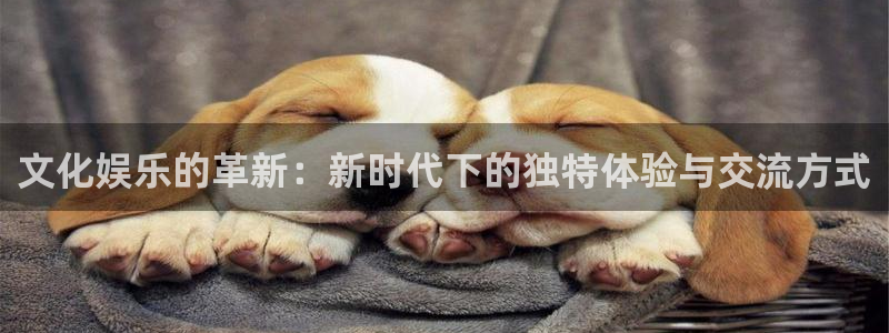 7790必发集团客服：文化娱乐的革新：新时代下的独特体验与交流方式