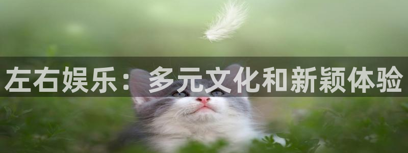 7790cnm必发集团下截：左右娱乐：多元文化和新颖体验