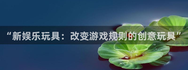 7790必发集团网址：“新娱乐玩具：改变游戏规则的创意玩具”