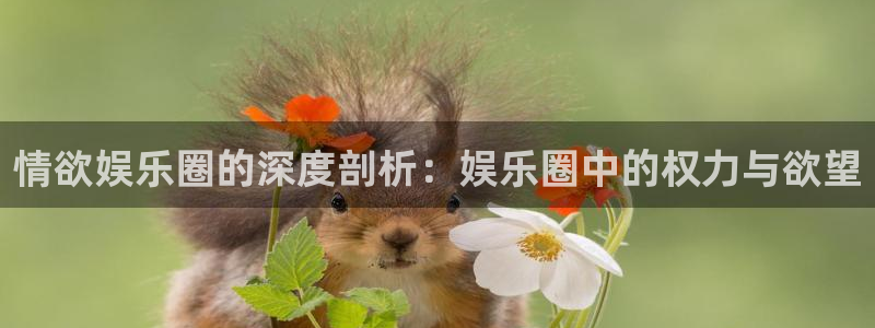 7790必发集团客服：情欲娱乐圈的深度剖析：娱乐圈中的权力与欲望