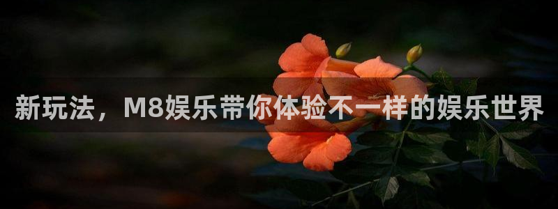 必发集团网站：新玩法，M8娱乐带你体验不一样的娱乐世界