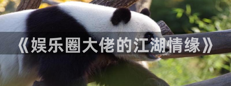 7790必发集团下载：《娱乐圈大佬的江湖情缘》