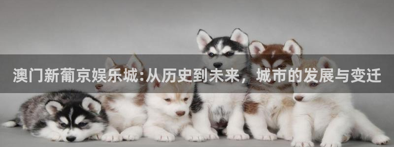 必发集团app下载安装手机版：澳门新葡京娱乐城:从历史到未来，城市的发展与变迁