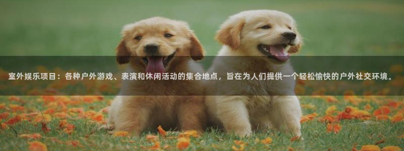 7790cnm必发集团app下载：室外娱乐项目：各种户外游戏、表演和休闲活动的集合地点，旨在为人们提供一个轻松愉快的户外社交环境。