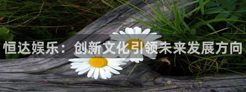 必发集团app下载：恒达娱乐：创新文化引领未来发展方向