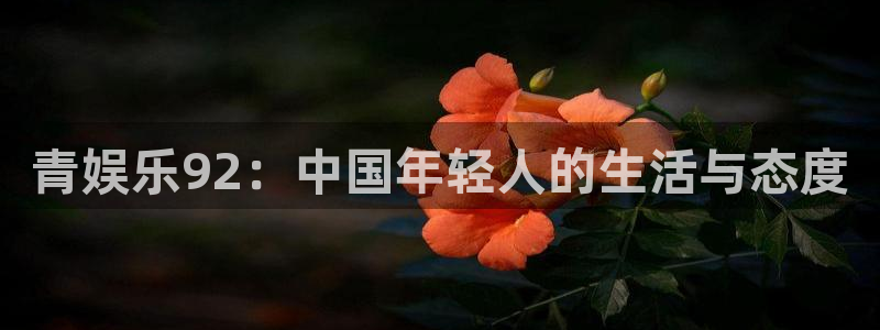 7790必发集团客服：青娱乐92：中国年轻人的生活与态度