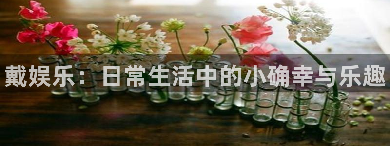 必发集团官网：戴娱乐：日常生活中的小确幸与乐趣