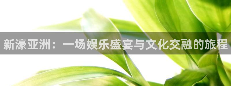 必发集团官网登录：新濠亚洲：一场娱乐盛宴与文化交融的旅程