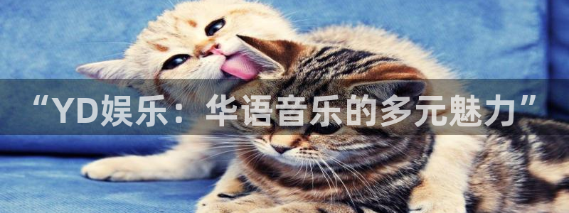 必发集团app7790下载安装：“YD娱乐：华语音乐的多元魅力”