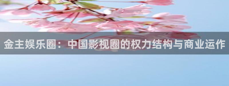 7790必发集团app：金主娱乐圈：中国影视圈的权力结构与商业运作