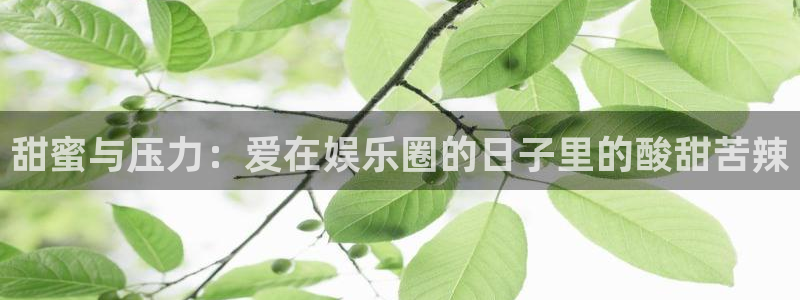 必发集团游戏官网：甜蜜与压力：爱在娱乐圈的日子里的酸甜苦辣